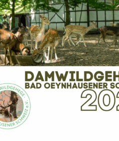 Damwild Kalender 2026